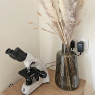 microscope au boudoir